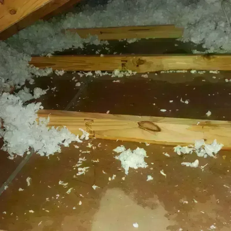 Attic Water Damage in Walden, CO