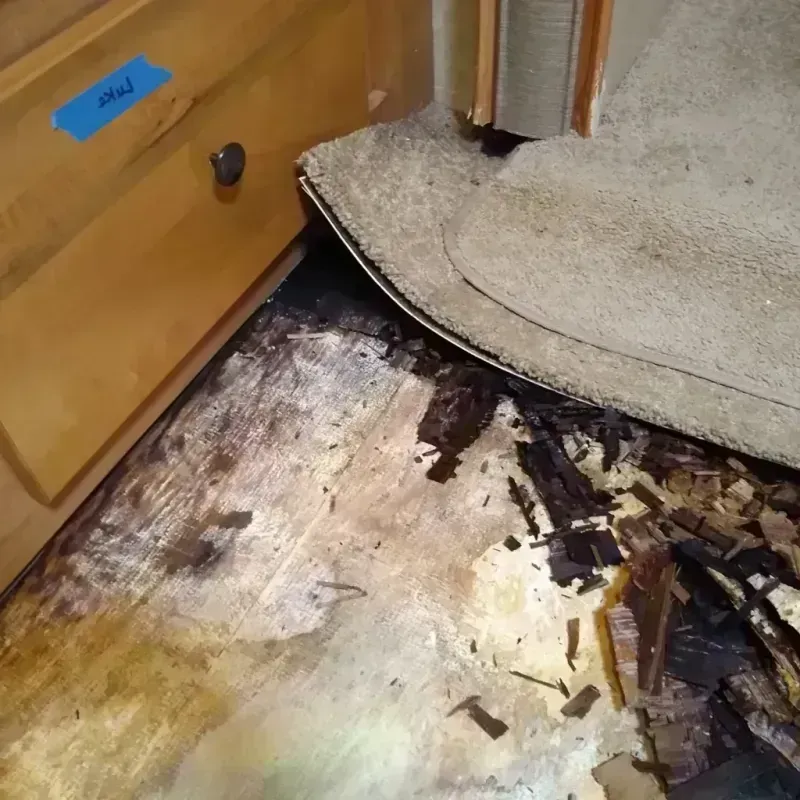 Wood Floor Water Damage in Walden, CO